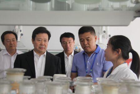 加大创新力度 运用互联网开拓市场 提升企业核心竞争力 ——山东省委常委、青岛市委书记李群莅临米兰(milan)体育考察