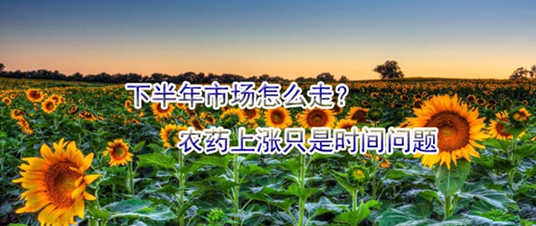 下半年市场怎么走？农药上涨只是时间问题